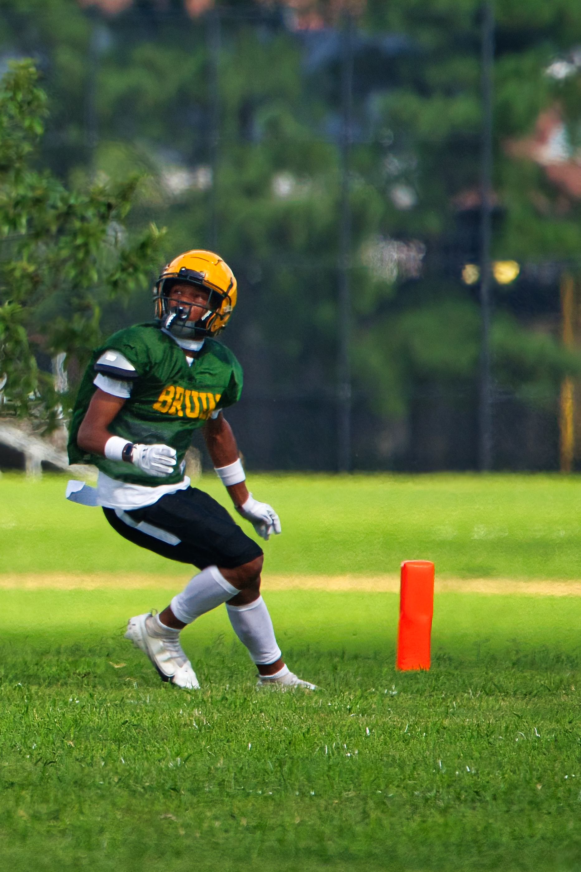 Hampton Roads football action shot — ACTION