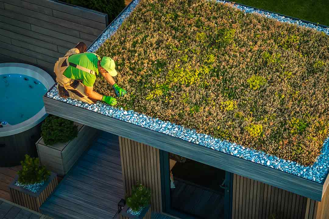 Green roof Green roof