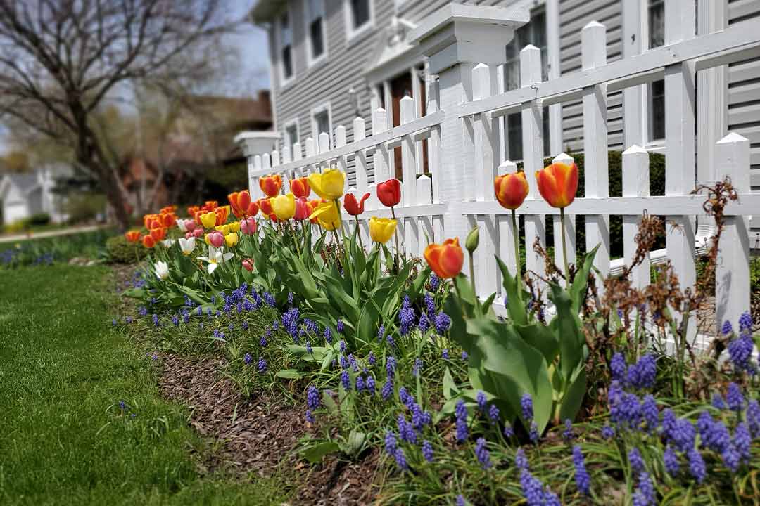 Spring season Spring season