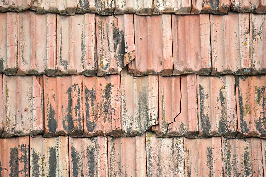 damaged shingles damaged shingles