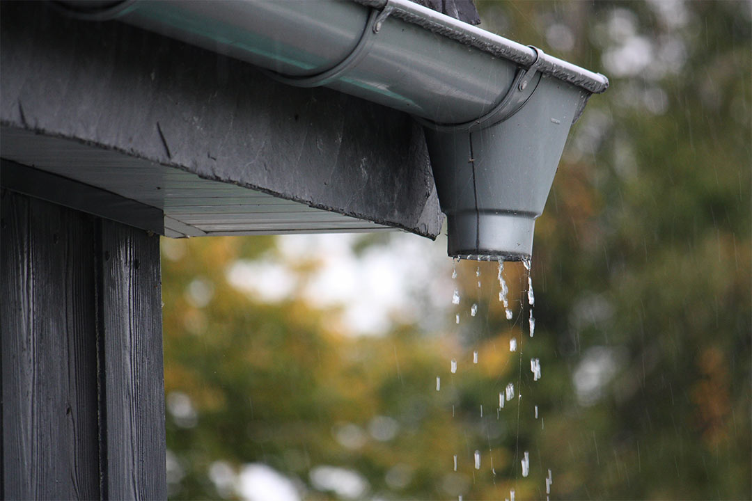 A well-maintained roof and gutter system during a rainy day. A well-maintained roof and gutter system during a rainy day.