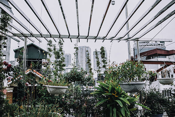 a serene, nature-inspired rooftop a serene, nature-inspired rooftop