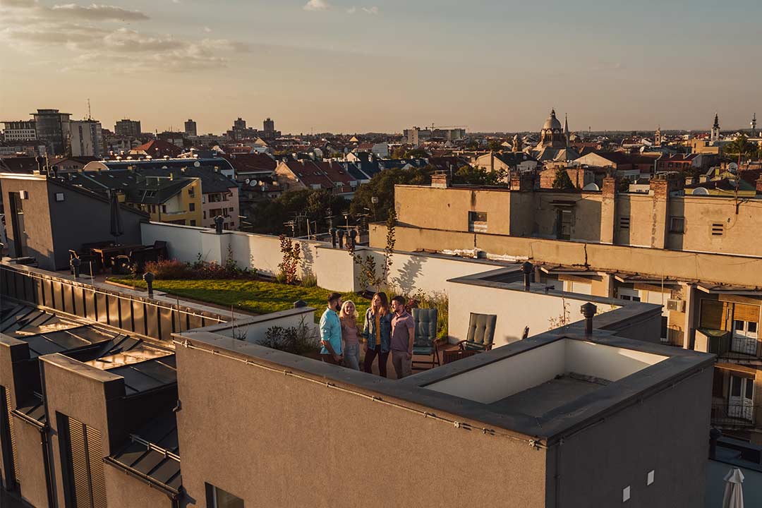 A flat roof with a rooftop garden and patio furniture used for recreational space. A flat roof with a rooftop garden and patio furniture used for recreational space.