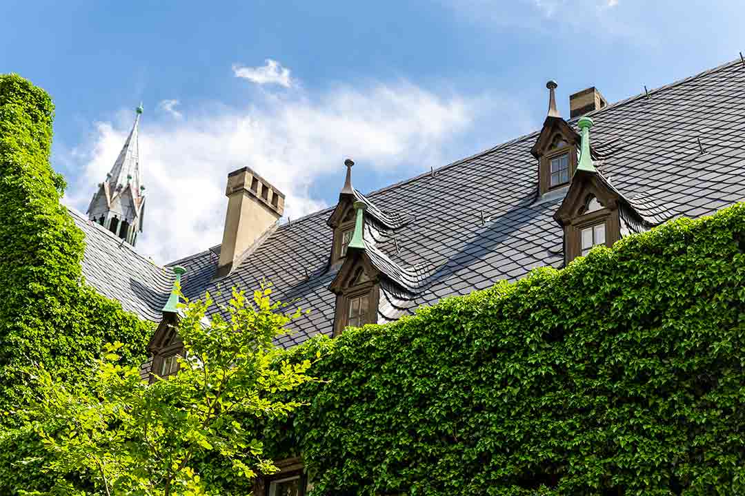 Elegant slate roof on a cathedral. Elegant slate roof on a cathedral.