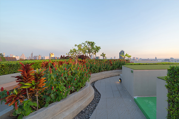 sky garden on private rooftop of hotel sky garden on private rooftop of hotel