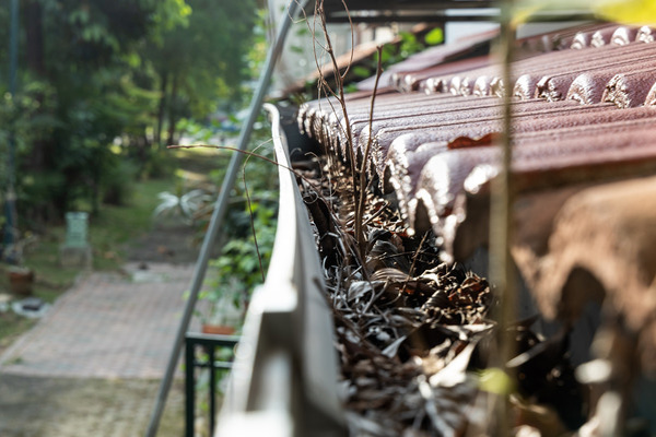 clogged gutter full of dried leaves clogged gutter full of dried leaves