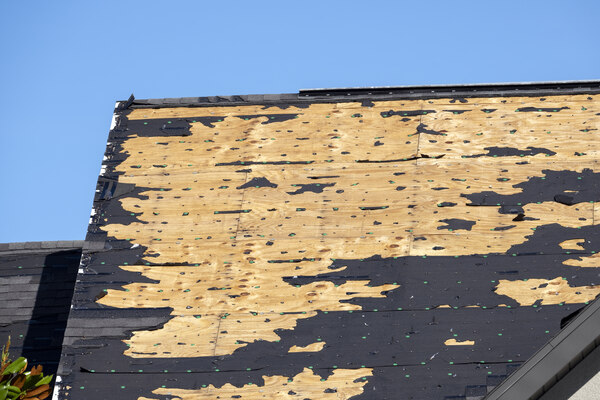 torn roof due to neglect, exposing interior to elements torn roof due to neglect, exposing interior to elements