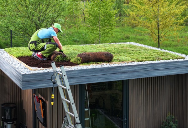 living roof living roof