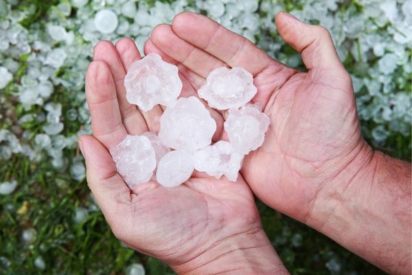 Hands holding large hailstones, illustrating the potential for roof damage during severe hailstorms. Hands holding large hailstones, illustrating the potential for roof damage during severe hailstorms.