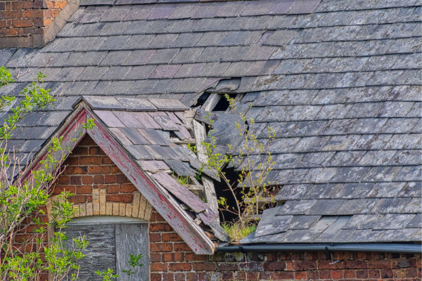 Damaged and deteriorating roof with missing shingles, highlighting the need for roof replacement to prevent further structural issues. Damaged and deteriorating roof with missing shingles, highlighting the need for roof replacement to prevent further structural issues.