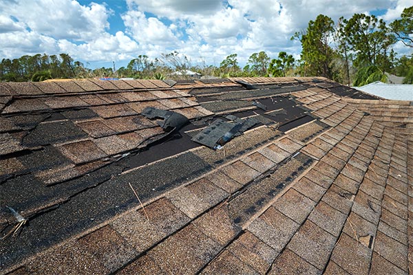 Severely damaged asphalt shingle roof with missing and torn sections, highlighting the importance of regular roof inspections and maintenance for homeowners. Severely damaged asphalt shingle roof with missing and torn sections, highlighting the importance of regular roof inspections and maintenance for homeowners.