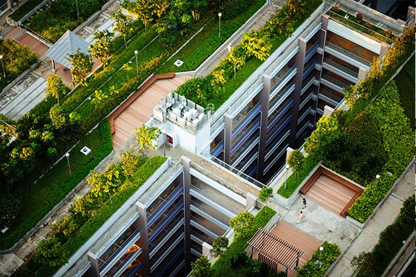 Aerial view of modern buildings with lush green roofs, showcasing sustainable roofing trends in Omaha. Aerial view of modern buildings with lush green roofs, showcasing sustainable roofing trends in Omaha.