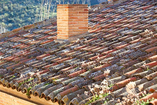 A weathered clay tile roof with moss and vegetation growth, emphasizing roof aging, lack of maintenance, or necessary repairs. A weathered clay tile roof with moss and vegetation growth, emphasizing roof aging, lack of maintenance, or necessary repairs.