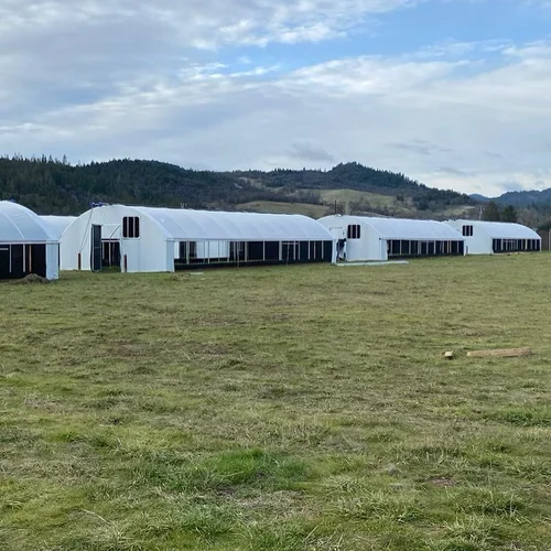 Custom steel-frame greenhouse for year-round growing
