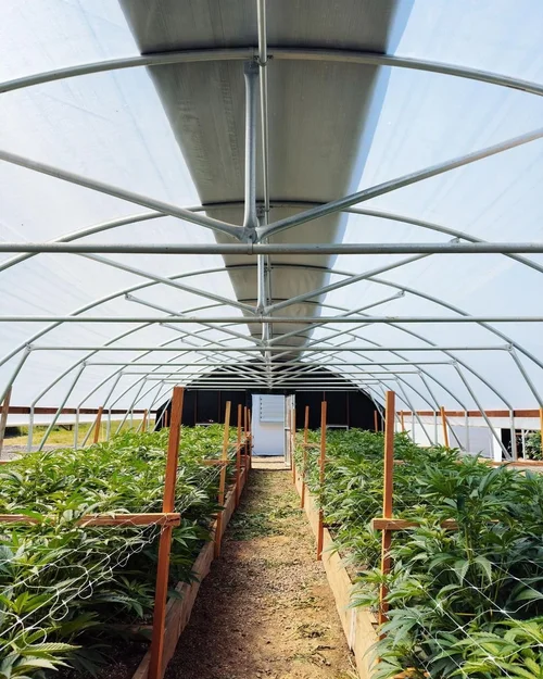 Professional greenhouse installation in Northern California
