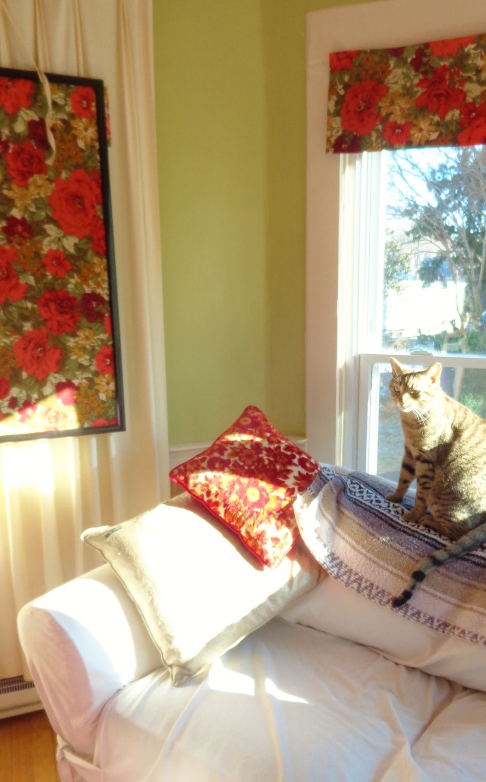 warm on Shalavee.com