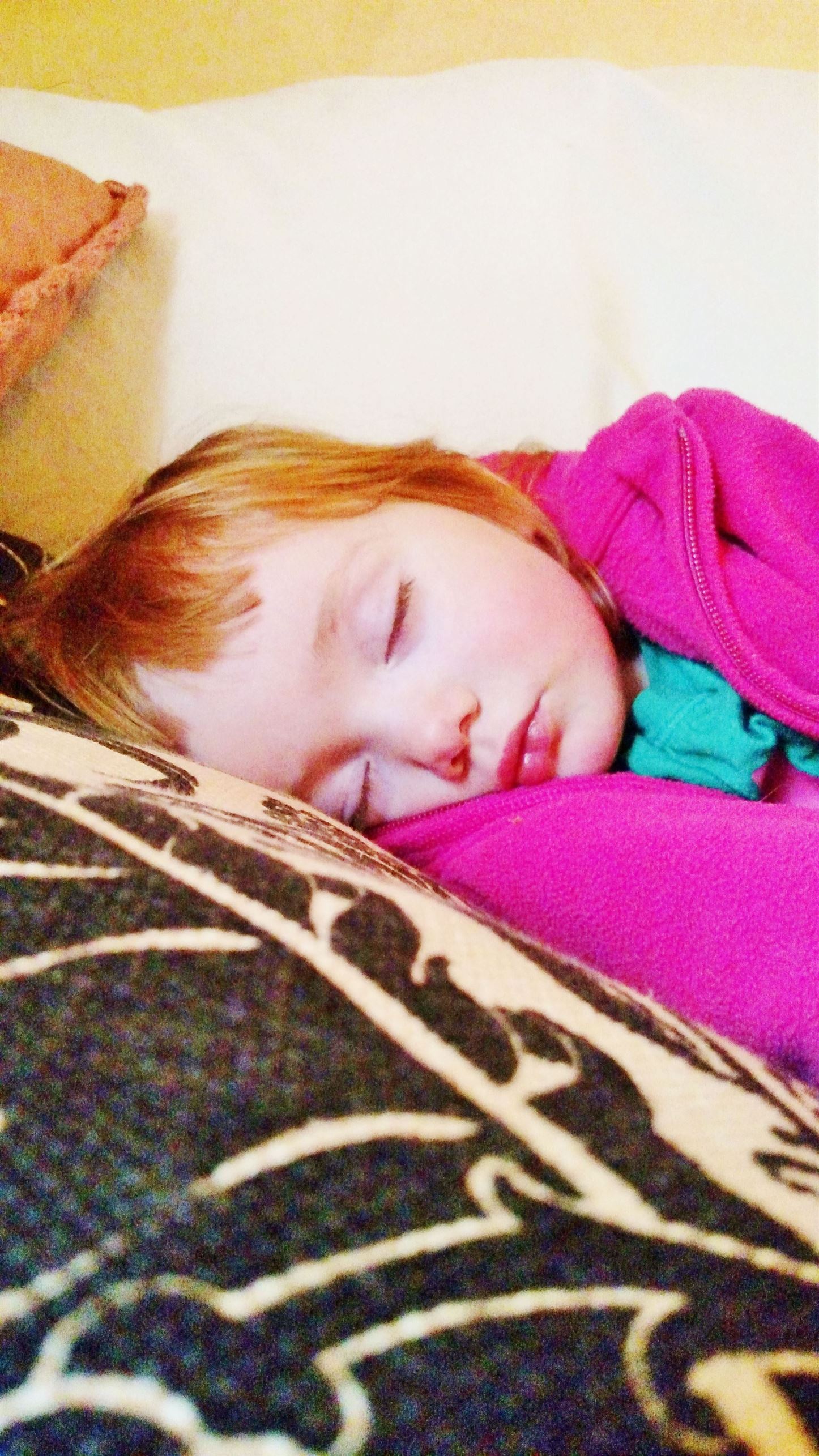 sleeping Fi on the Necessity of Nap Time on Shalavee.com