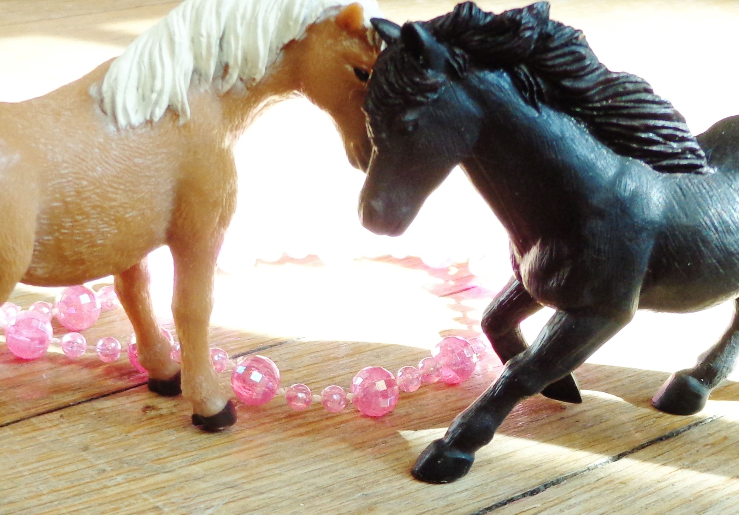 neigh neighs in love on Shalavee.com
