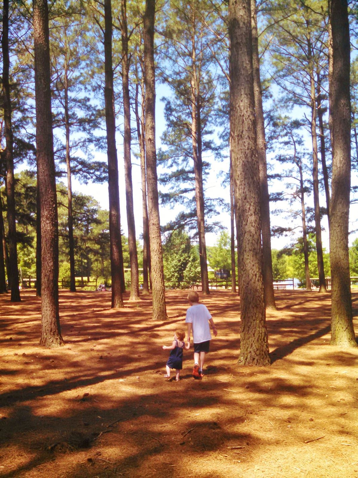 Hansel and Gretel in the forest in Shalavee.com