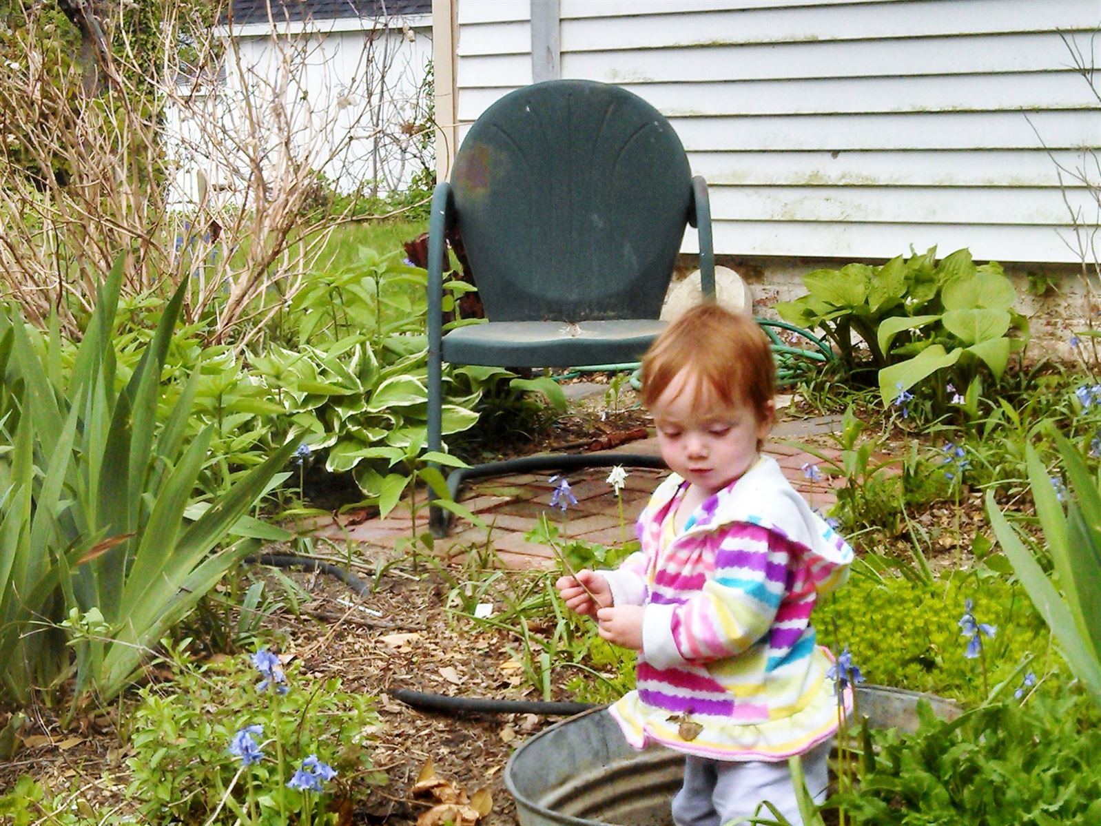 Fiona at One in the garden of Doom on Shalavee.com
