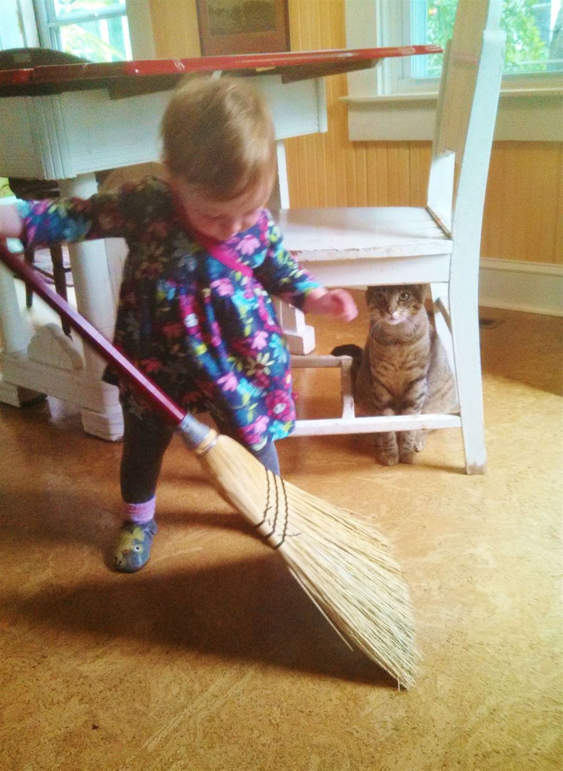 Fiona and her broom on Shalavee.com