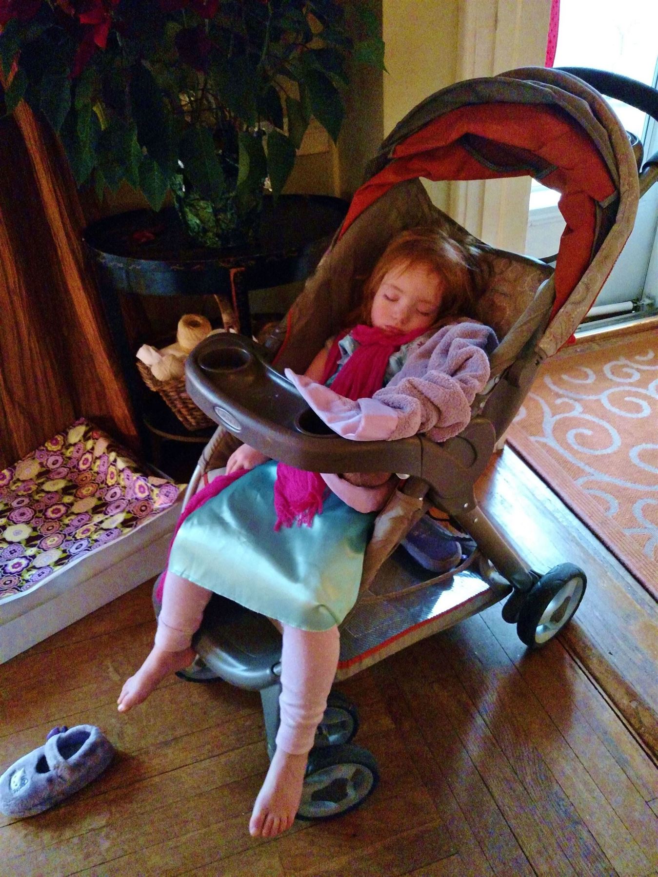 Pooped out for Christmas on Shalavee.com