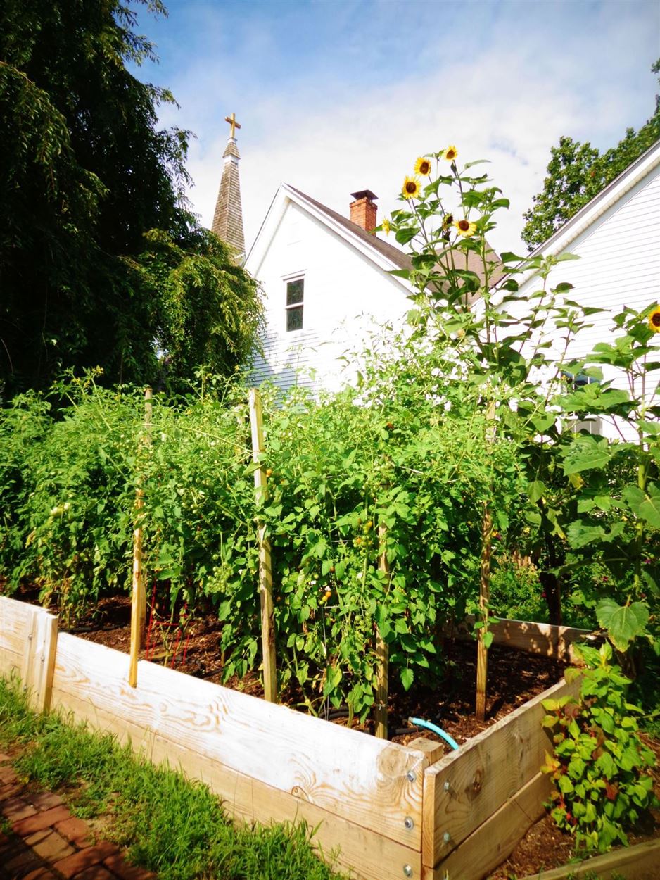 Garden Grief on Shalavee.com