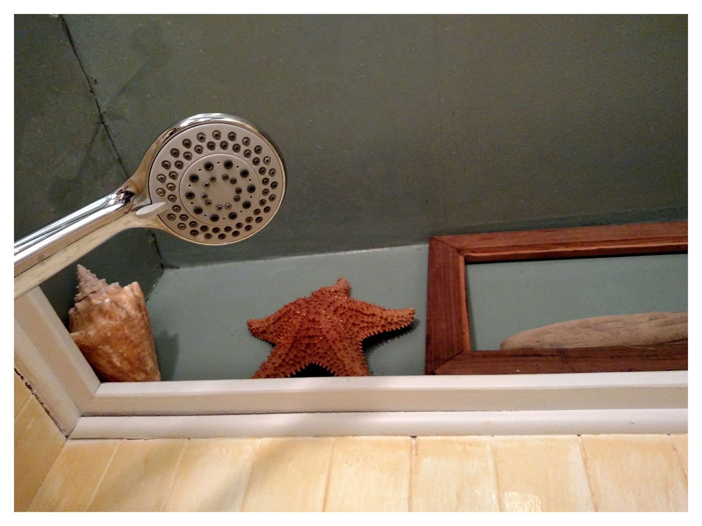 A Few Moments of Thought in the Bathroom on Shalavee.com