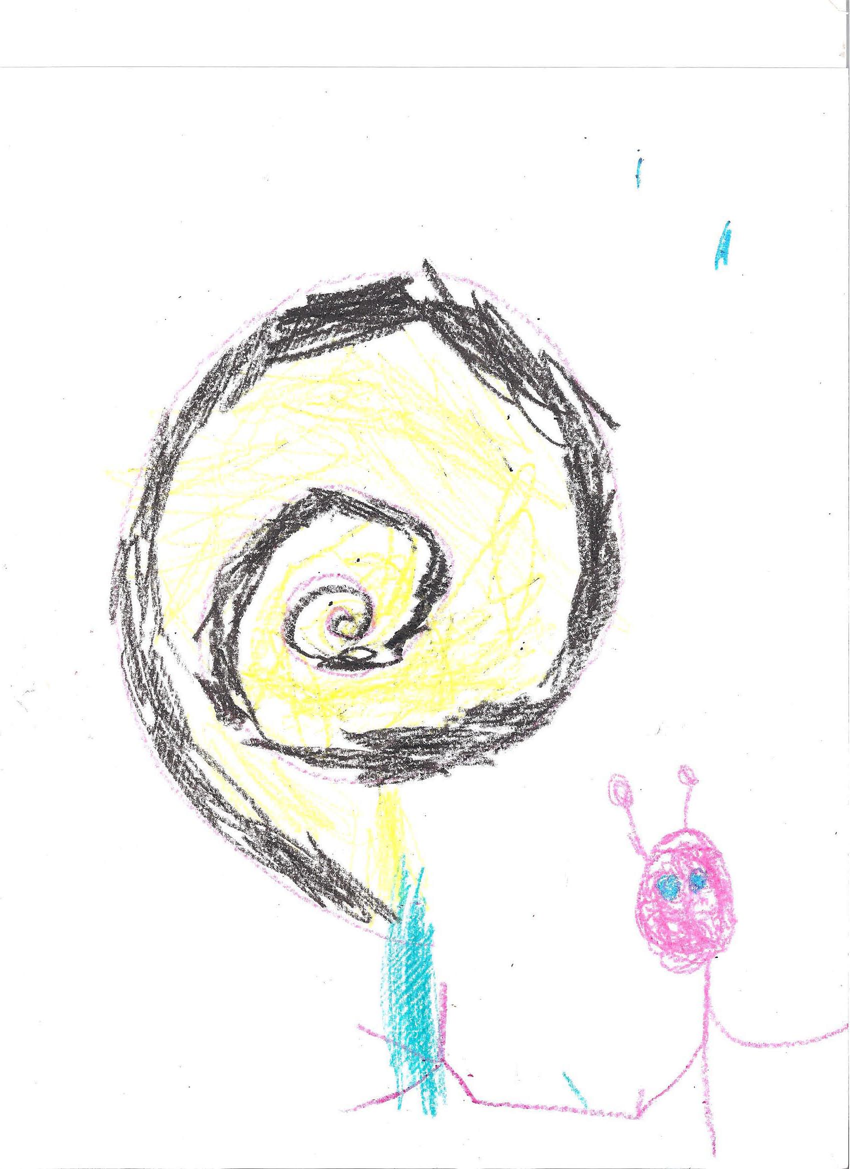 Kindergarten Homework on Shalavee.com