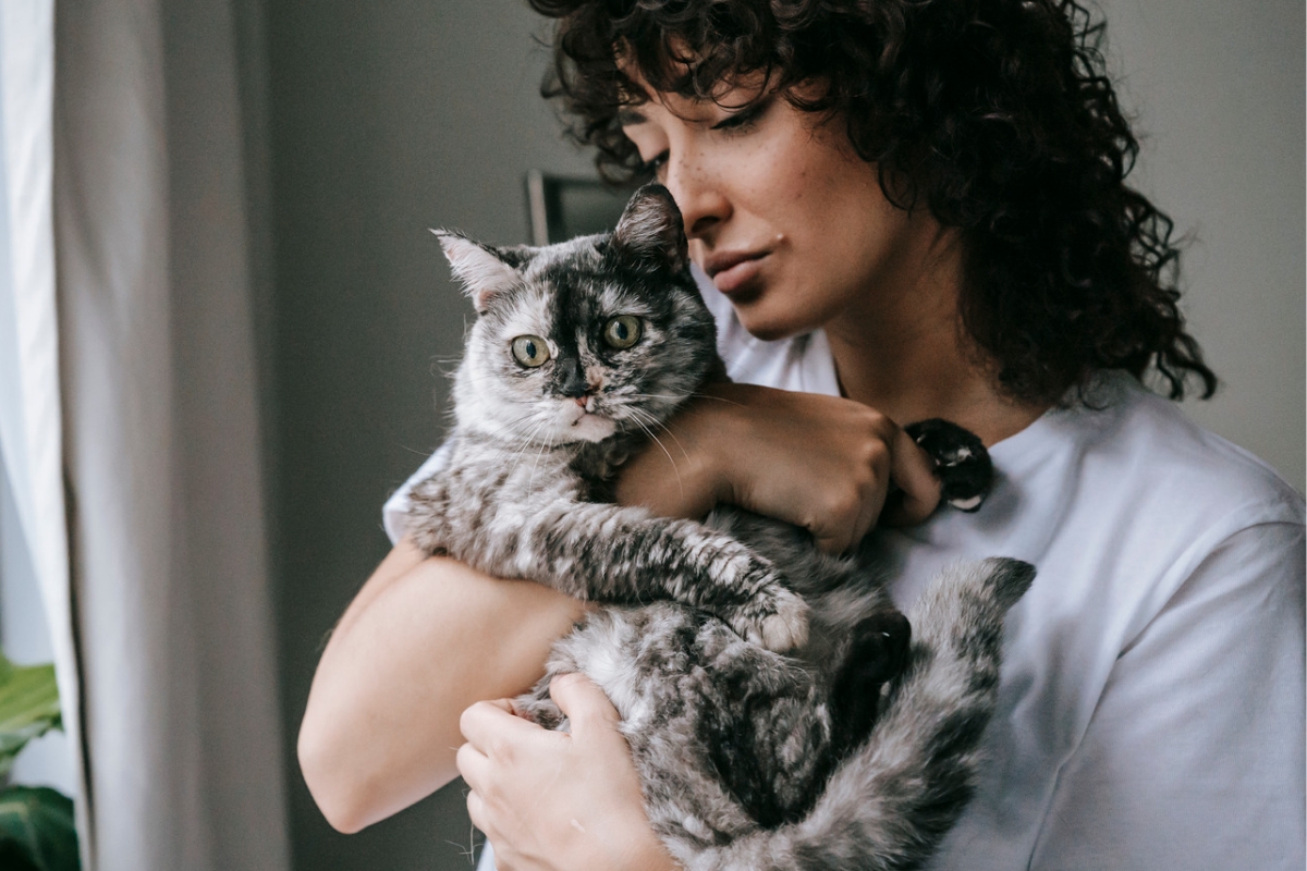 Caring for your senior cat