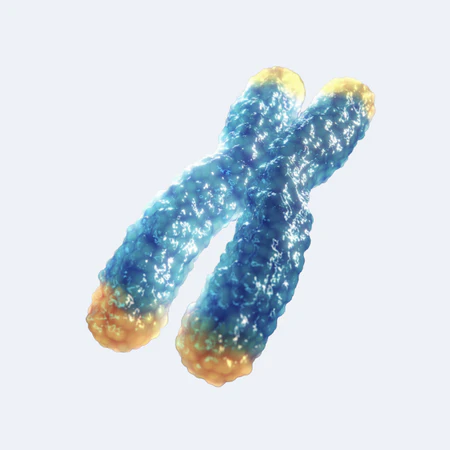 Lifestyle Stress Management*‡