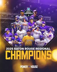 LSU baseball fans at SB&G