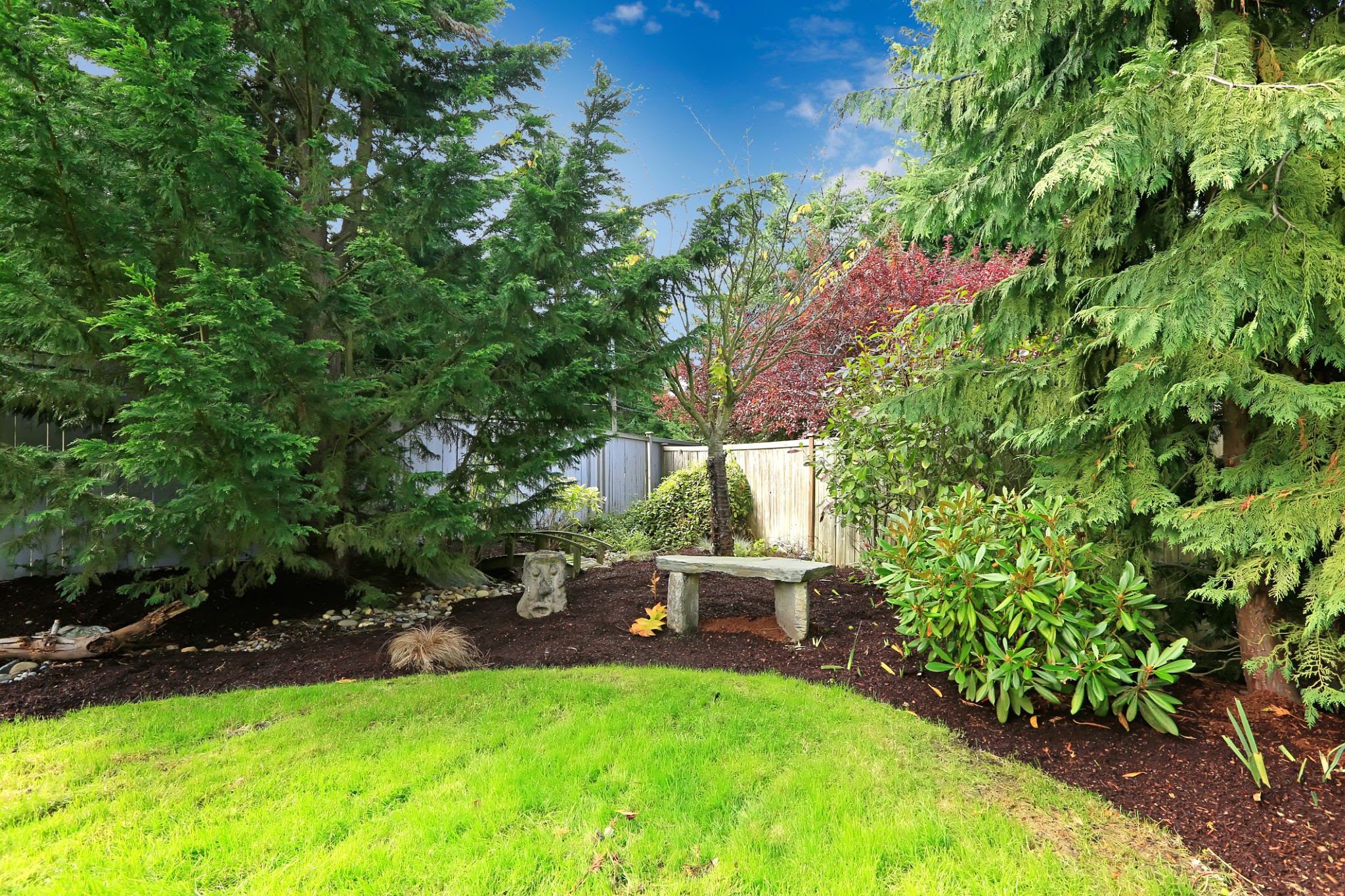 back yard landscaping louisville