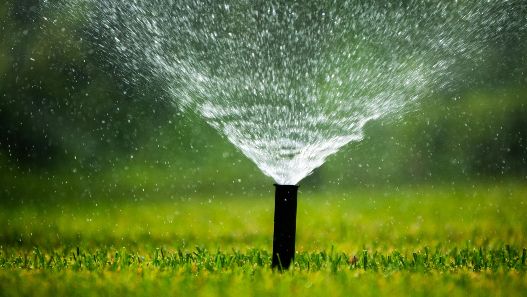 lawn sprinkler lawn sprinkler