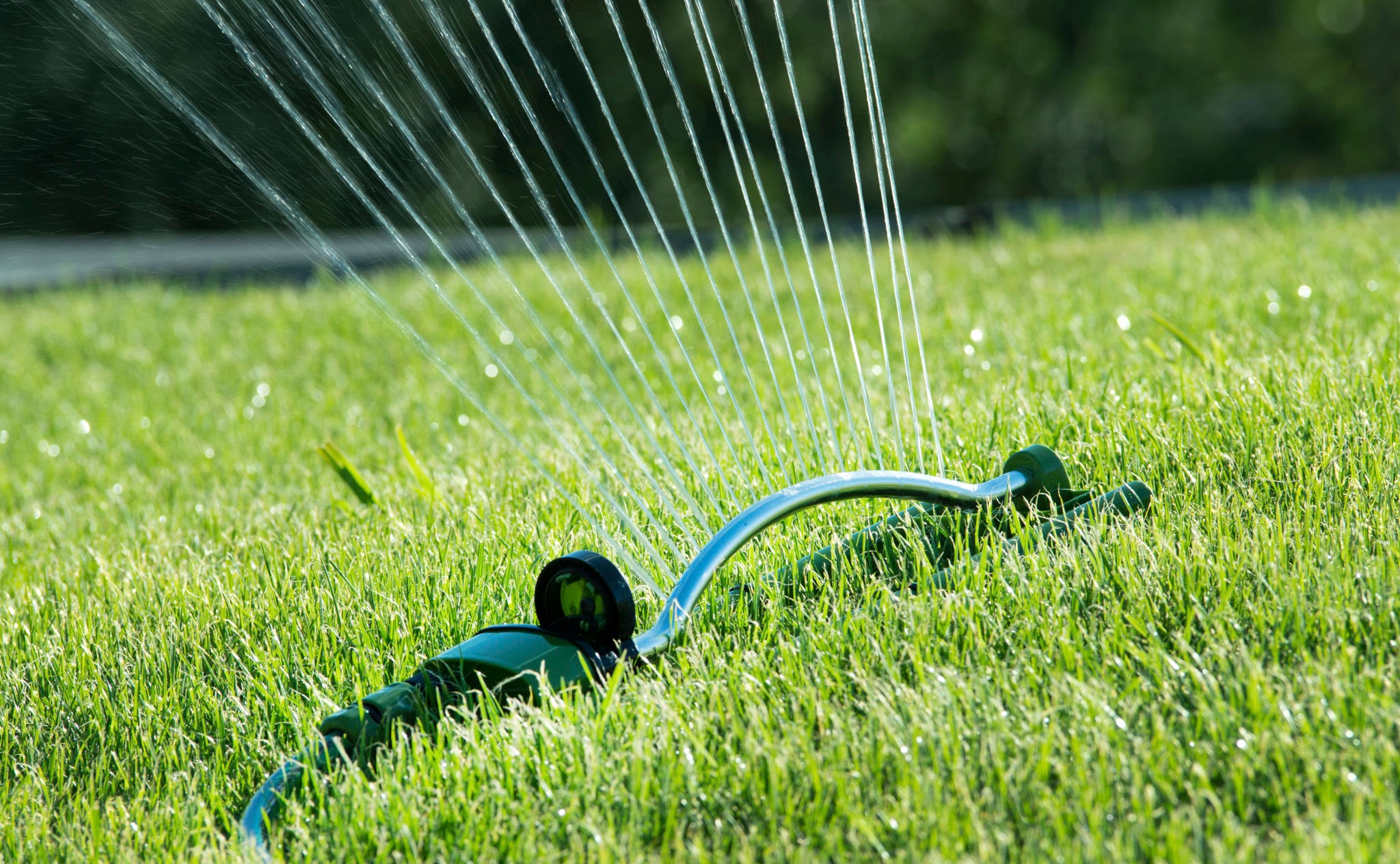 watering lawn watering lawn