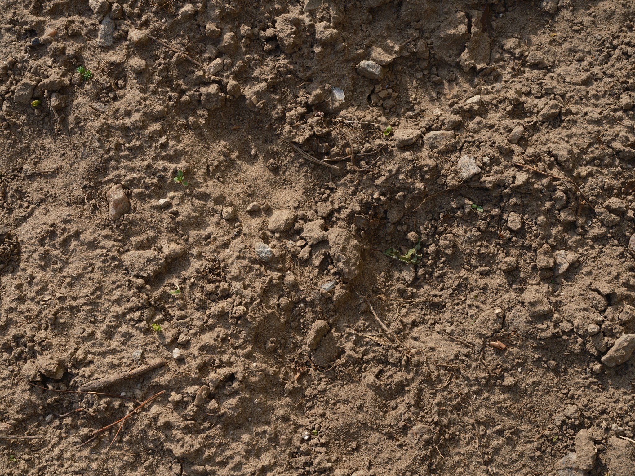 Heavy clay soil Heavy clay soil