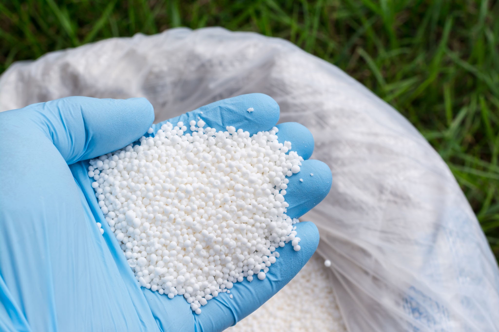 nitrogen fertilizer nitrogen fertilizer