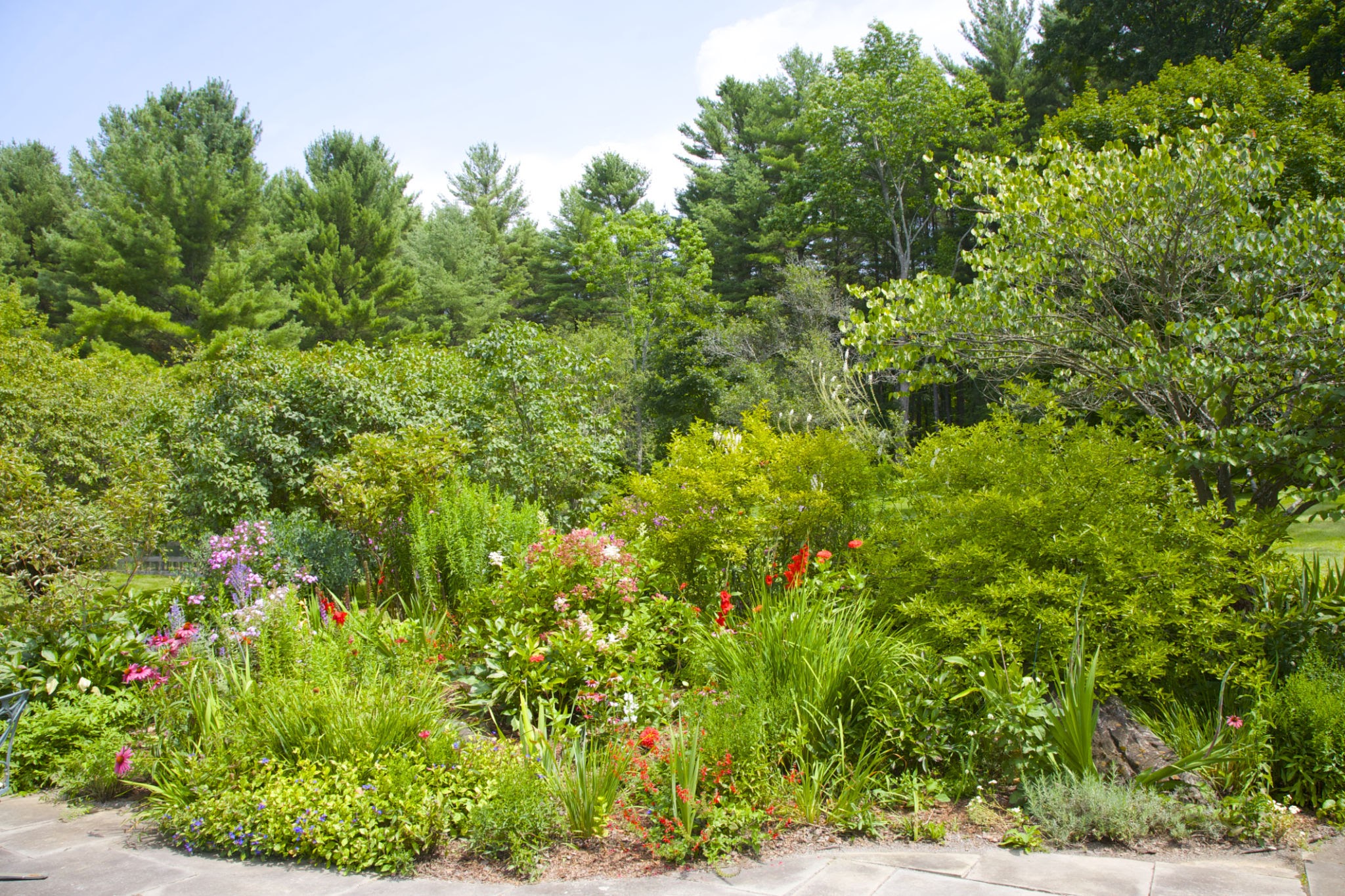native kentucky plants native kentucky plants