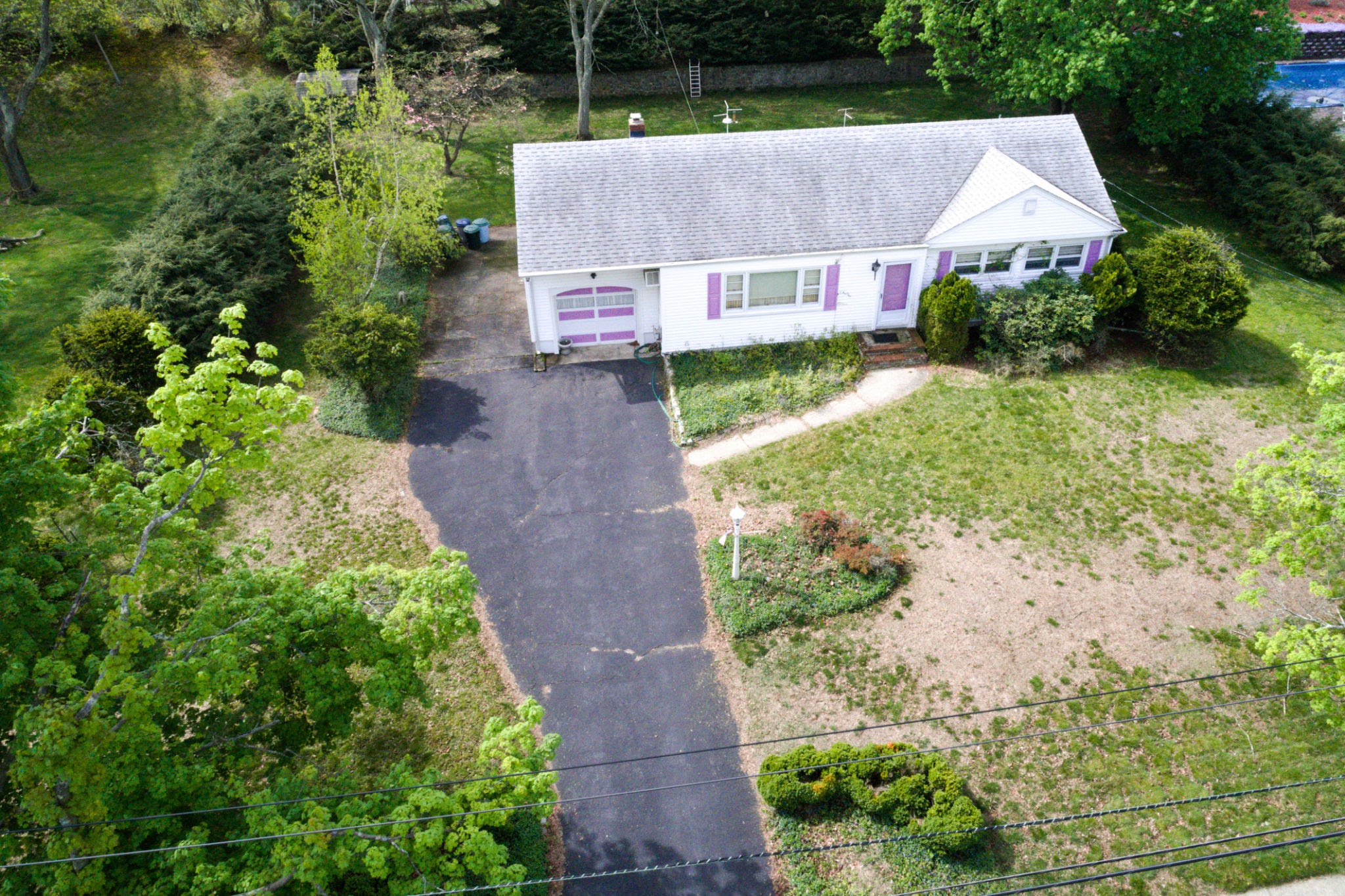 neglected yard neglected yard