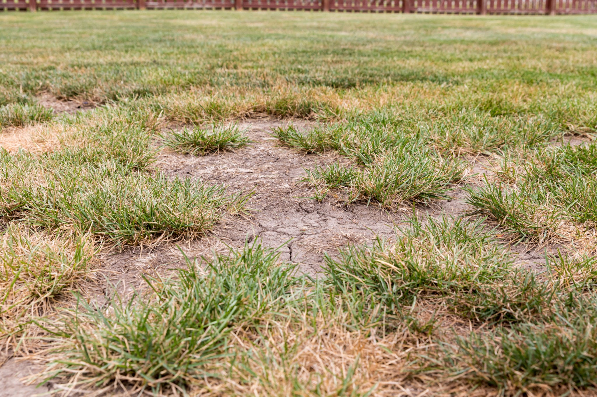 cracked soil cracked soil