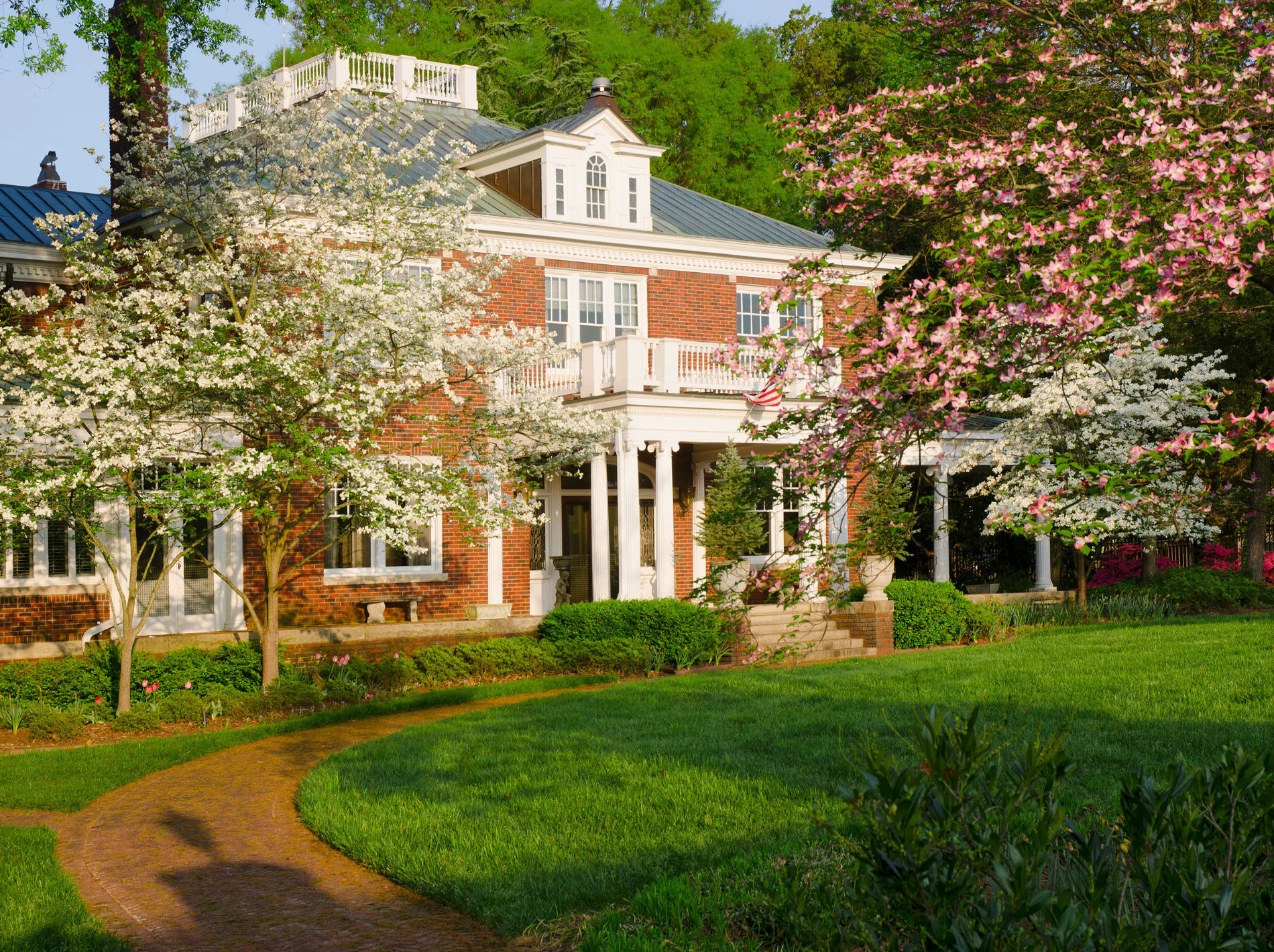 dogwood trees prospect ky dogwood trees prospect ky