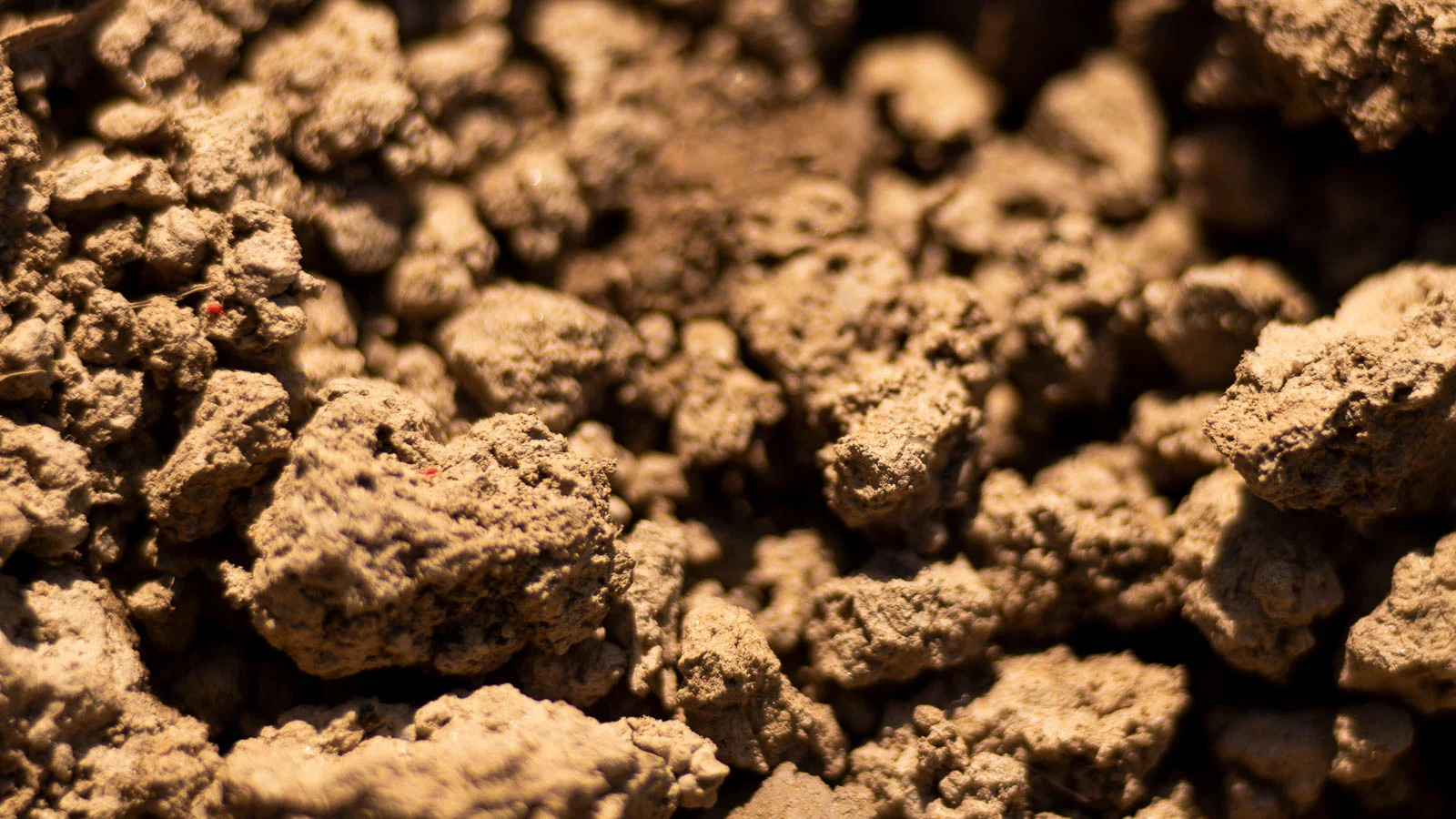 clay soil prospect ky clay soil prospect ky
