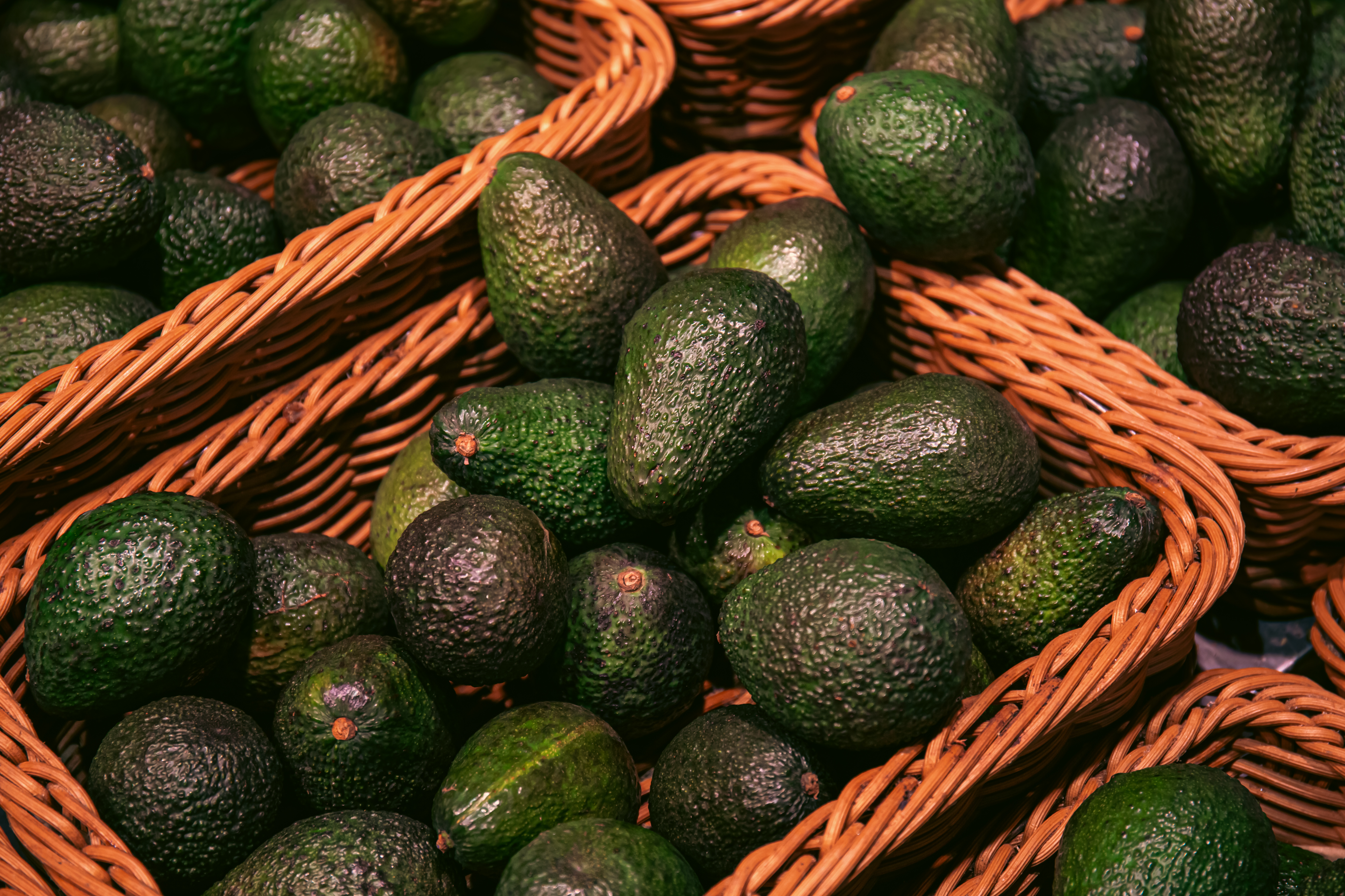 Avocados