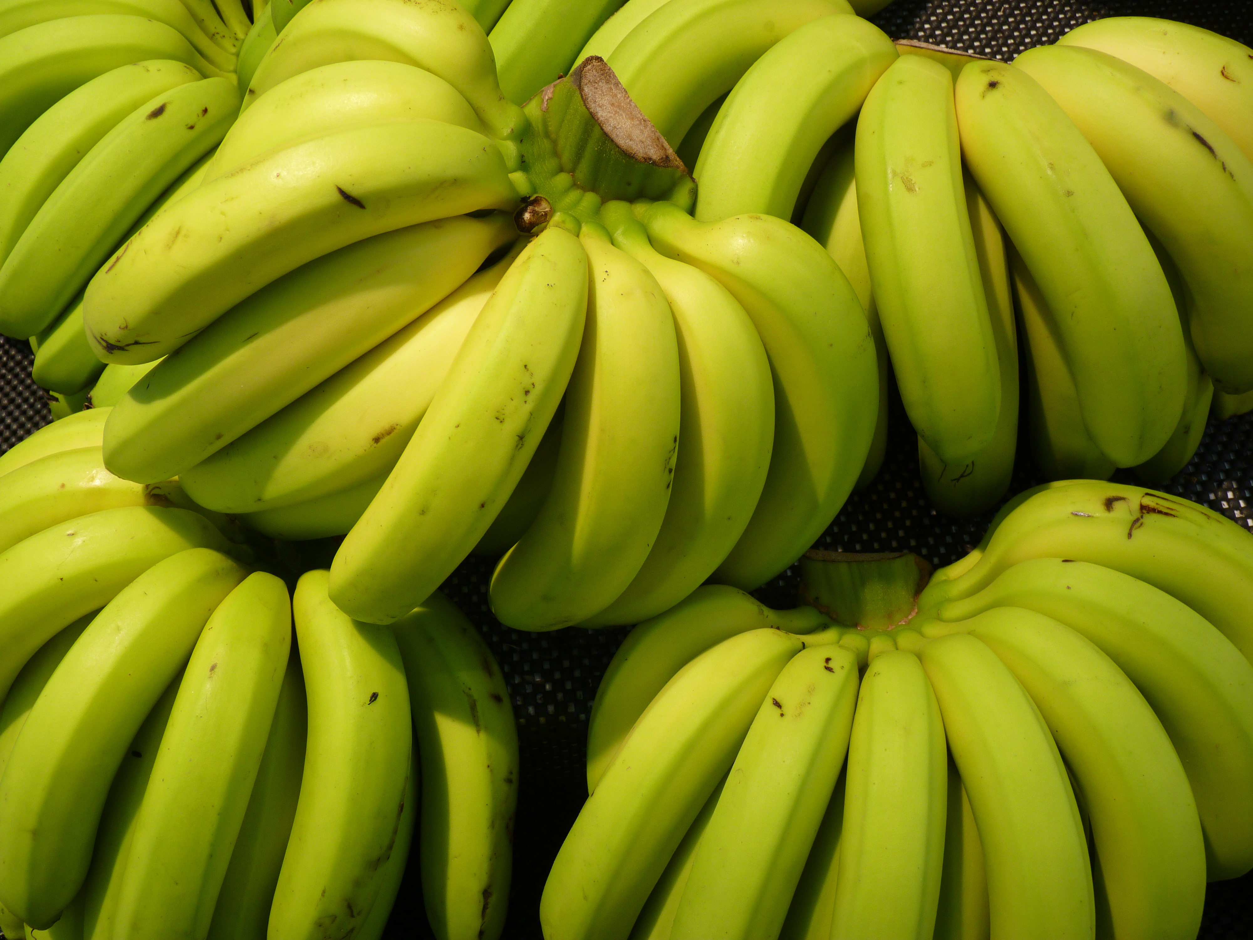 Bananas