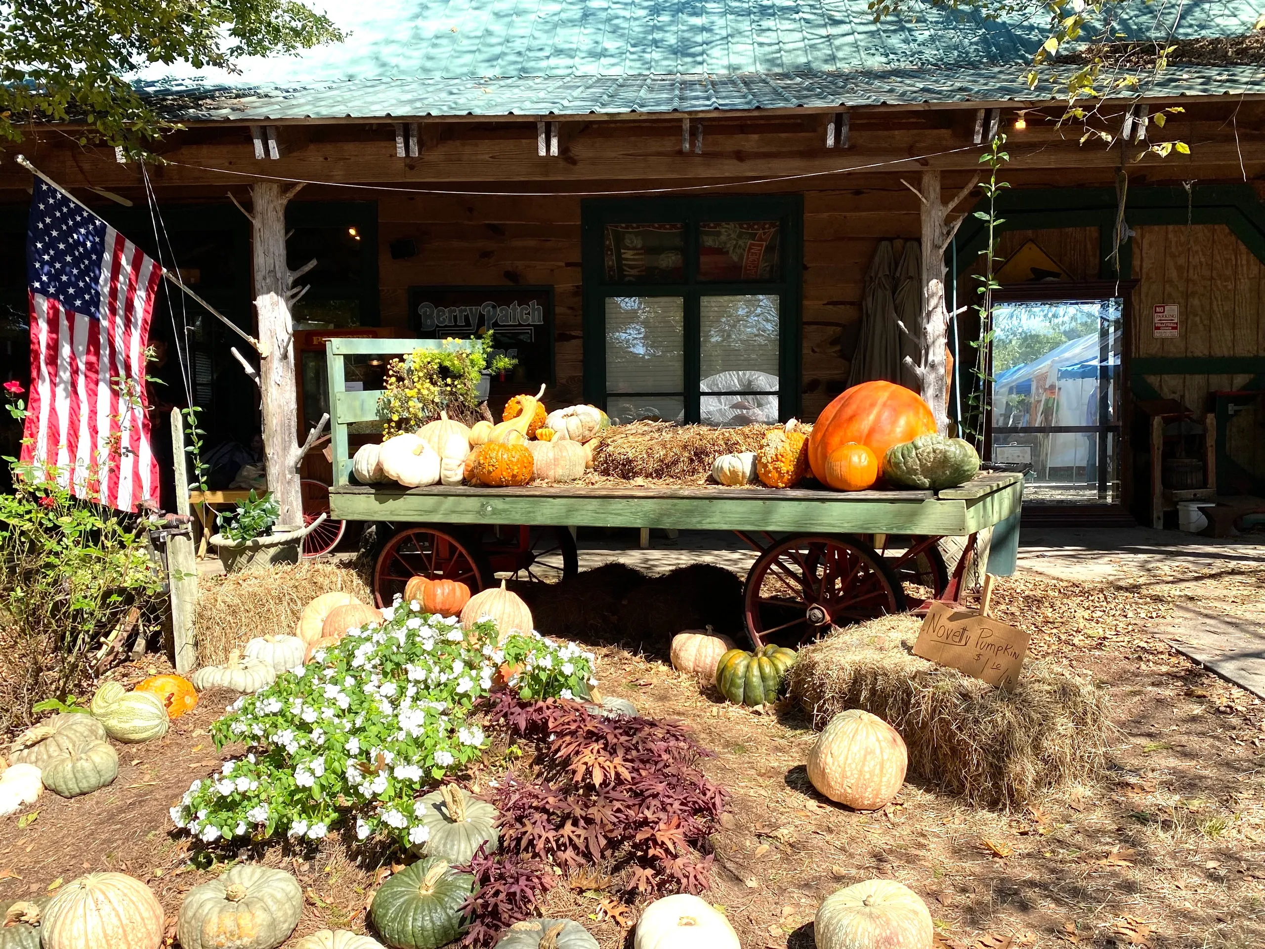 Berry Patch Farm Berry Patch Farm