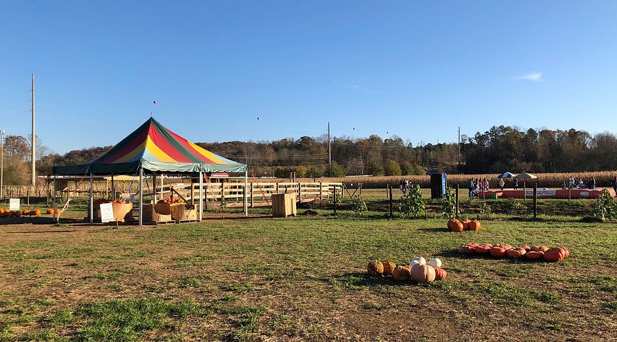 Uncle Shucks Corn Maze Uncle Shucks Corn Maze