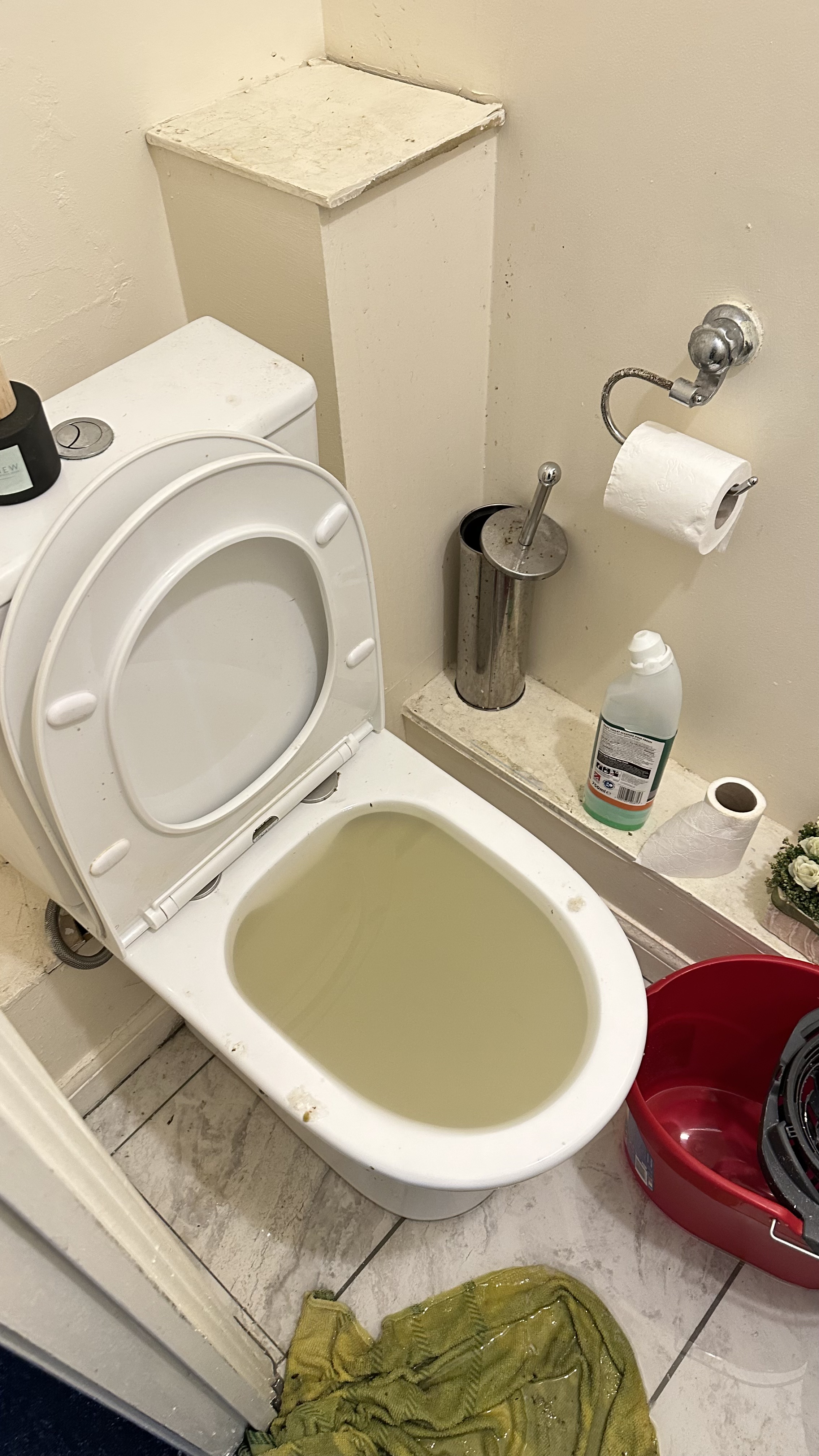 A Blocked Toilet