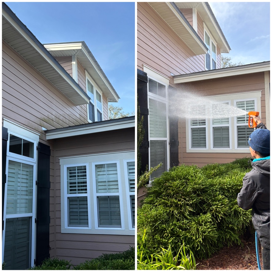 house-soft-washing-st-simons-island-project.jpg