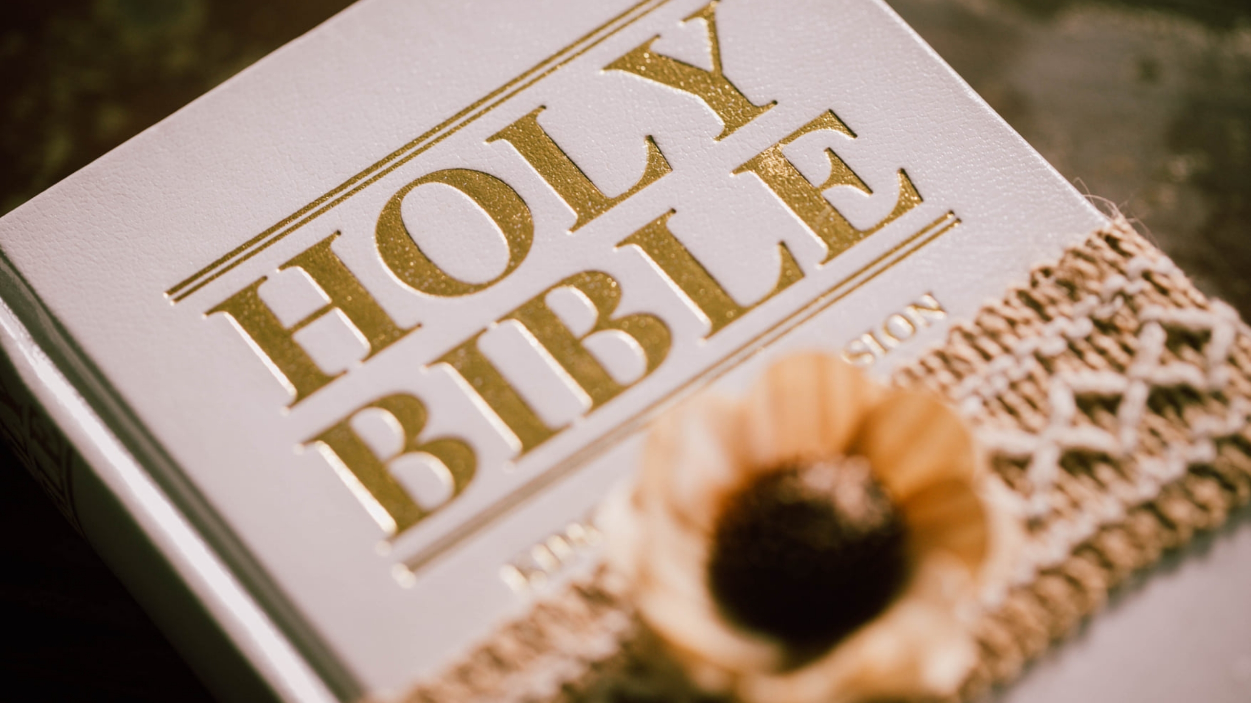 How to Make Bible Study Fun for Kid How to Make Bible Study Fun for Kid