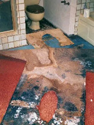 A bathroom with a toilet and a bathtub and a piece of meat on the floor.